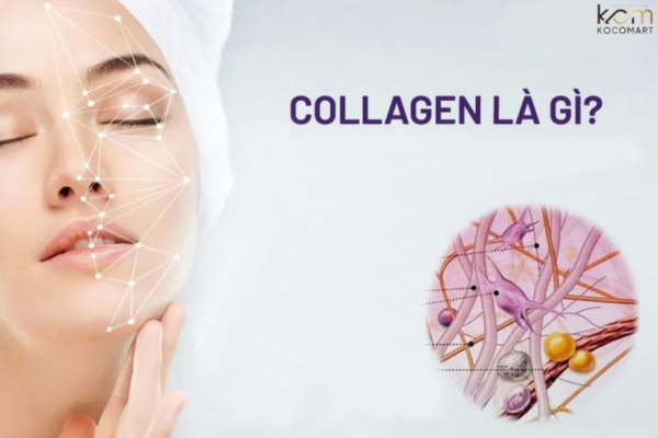 Collagen trong mỹ phẩm: Công dụng và cách sử dụng hiệu quả