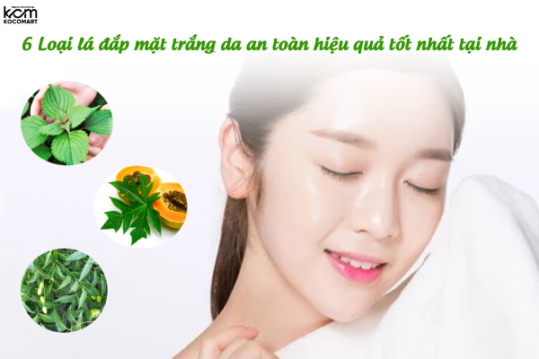 6 Loại lá đắp mặt trắng da an toàn hiệu quả tốt nhất tại nhà